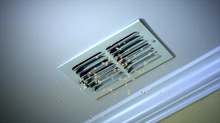 Best HVAC Air Duct Cleaning  in Peoria, IL