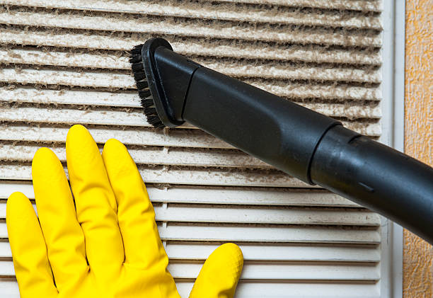 Best Air Duct Cleaning Company Near Me  in Peoria, IL